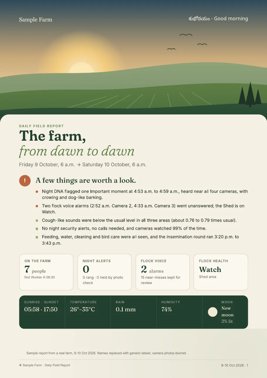 Sample Daily AI Site Report cover: key points of the day, people on site, night alerts and animal health