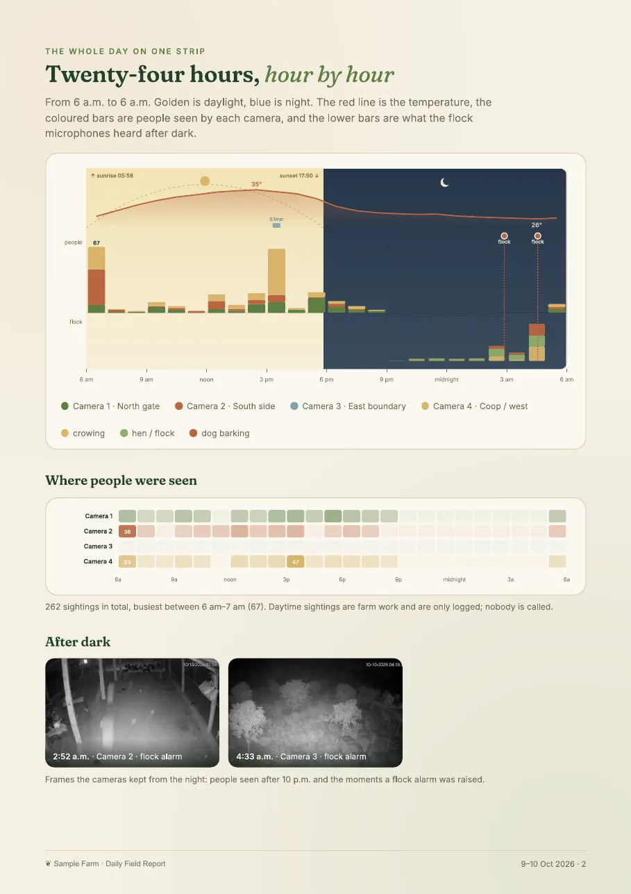 Sample report page: a 24-hour strip of people seen per camera and night sounds
